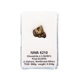 Météorite NWA 6210